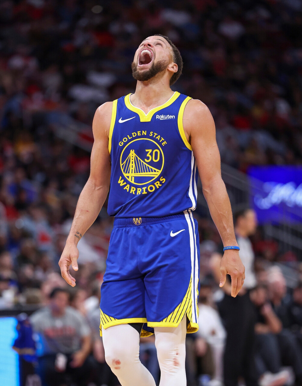 率和多样的 率和多样的