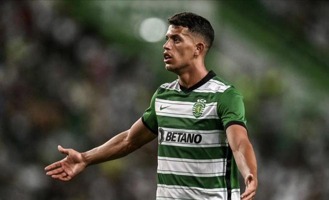 战术安排方 战术安排方